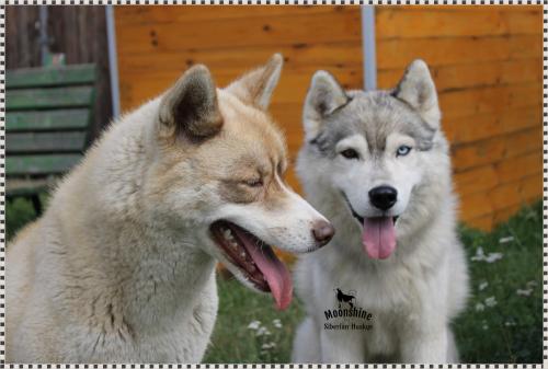 received_2928887563792328.